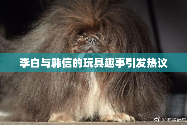 李白与韩信的玩具趣事引发热议