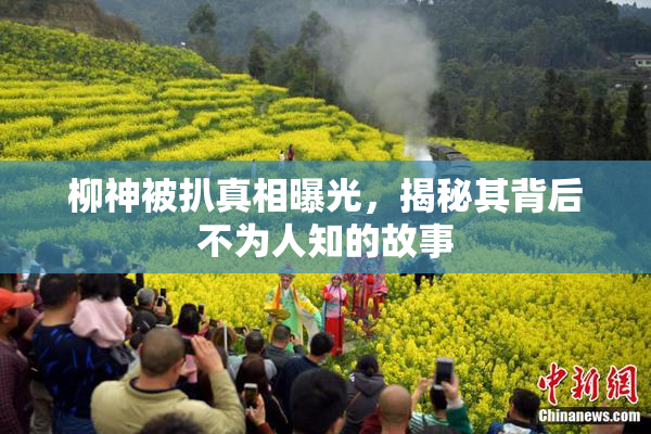 柳神被扒真相曝光，揭秘其背后不为人知的故事