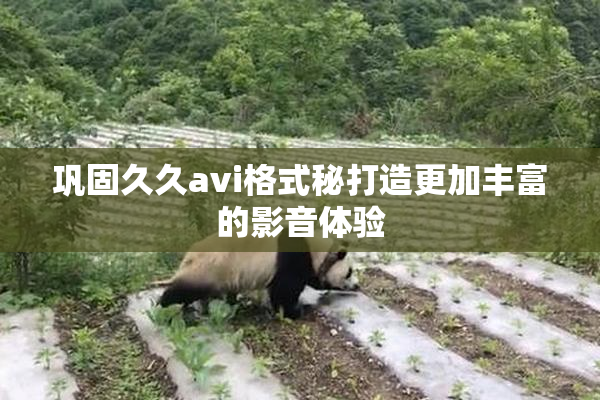 巩固久久avi格式秘打造更加丰富的影音体验