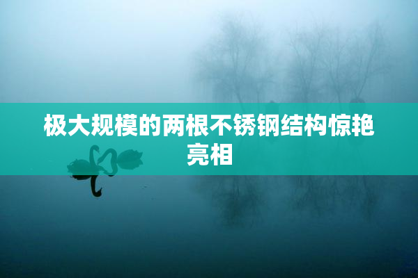 极大规模的两根不锈钢结构惊艳亮相