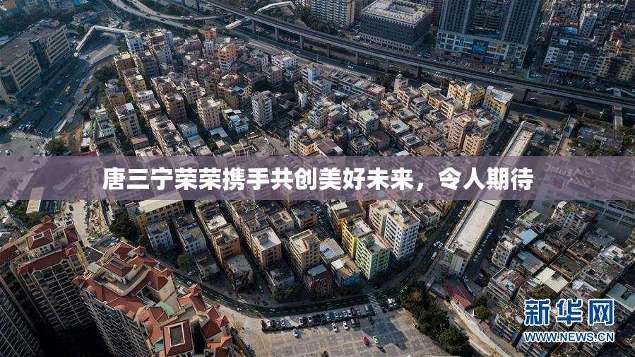 唐三宁荣荣携手共创美好未来，令人期待
