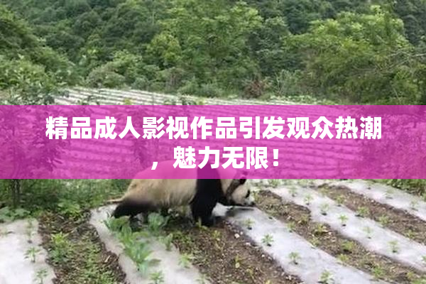 精品成人影视作品引发观众热潮，魅力无限！