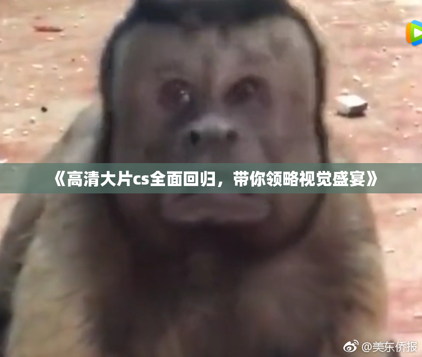 《高清大片cs全面回归，带你领略视觉盛宴》