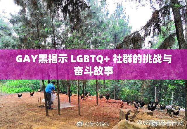 GAY黑揭示 LGBTQ+ 社群的挑战与奋斗故事