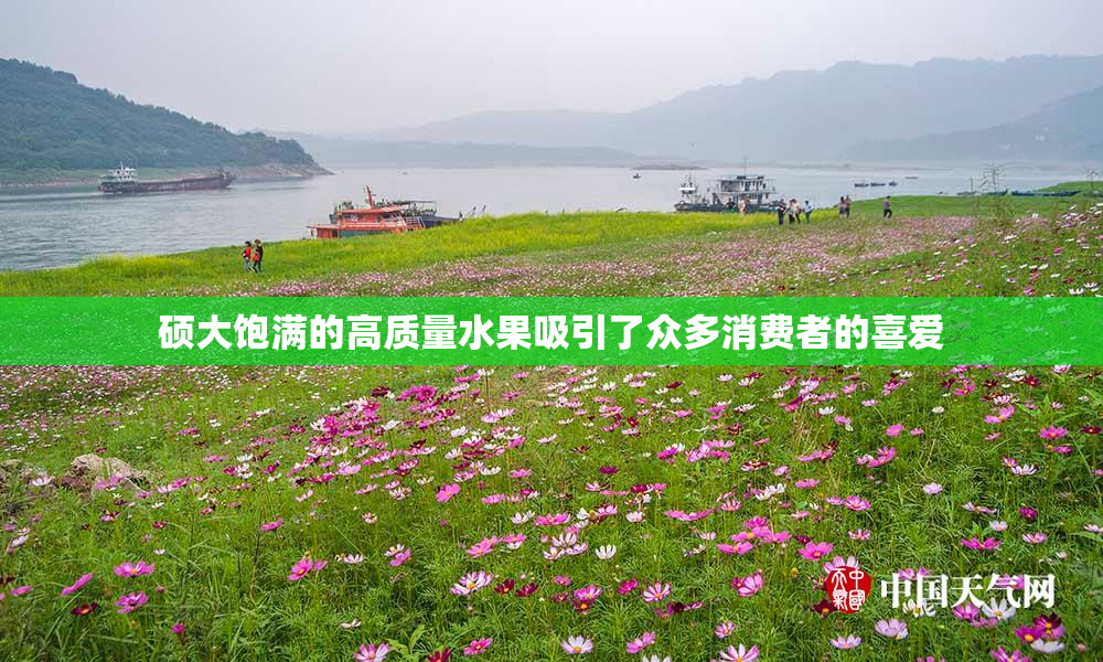 硕大饱满的高质量水果吸引了众多消费者的喜爱