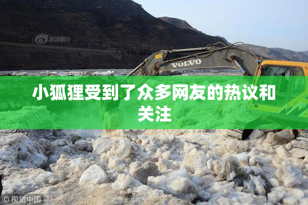 小狐狸受到了众多网友的热议和关注