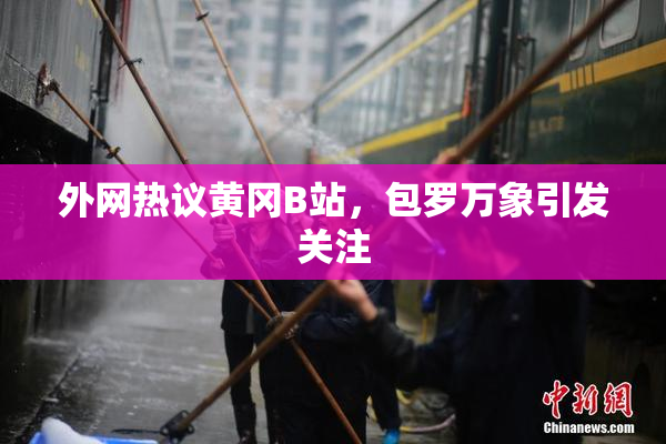 外网热议黄冈B站，包罗万象引发关注