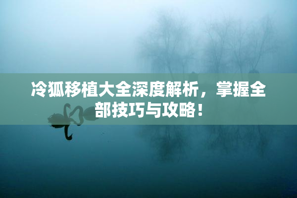 冷狐移植大全深度解析，掌握全部技巧与攻略！