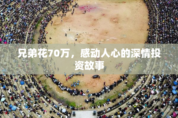 兄弟花70万，感动人心的深情投资故事