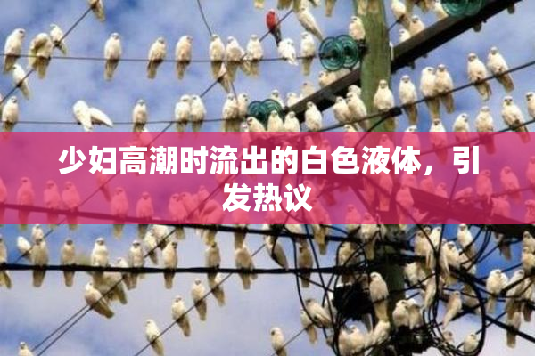 少妇高潮时流出的白色液体，引发热议