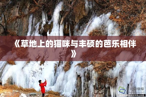 《草地上的猫咪与丰硕的芭乐相伴》