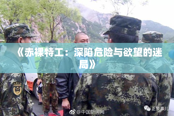 《赤裸特工：深陷危险与欲望的迷局》