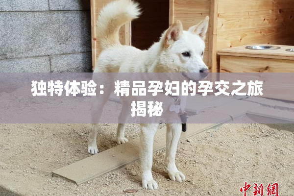 独特体验：精品孕妇的孕交之旅揭秘