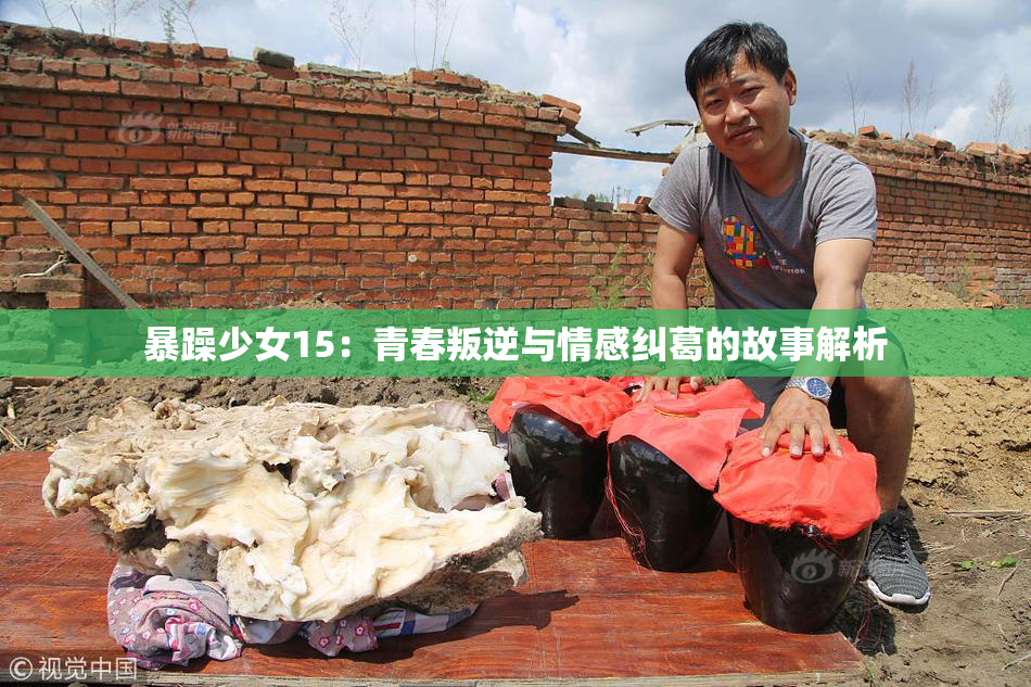 暴躁少女15：青春叛逆与情感纠葛的故事解析