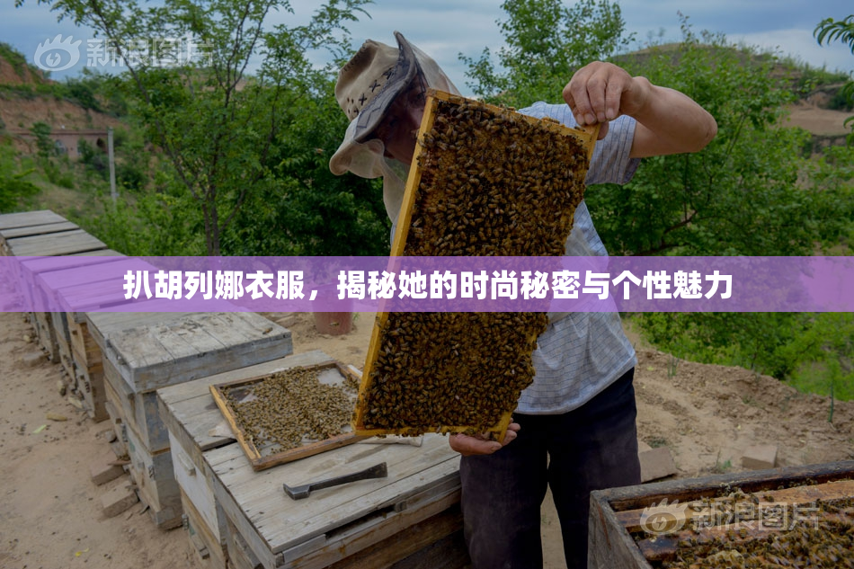 扒胡列娜衣服，揭秘她的时尚秘密与个性魅力