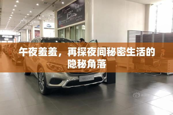 午夜羞羞，再探夜间秘密生活的隐秘角落