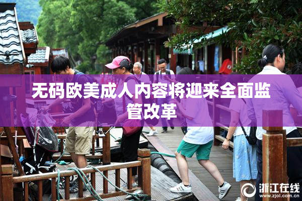 无码欧美成人内容将迎来全面监管改革