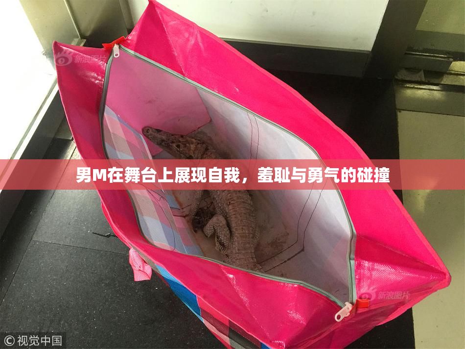 男M在舞台上展现自我，羞耻与勇气的碰撞