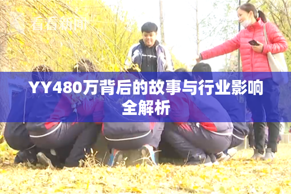YY480万背后的故事与行业影响全解析