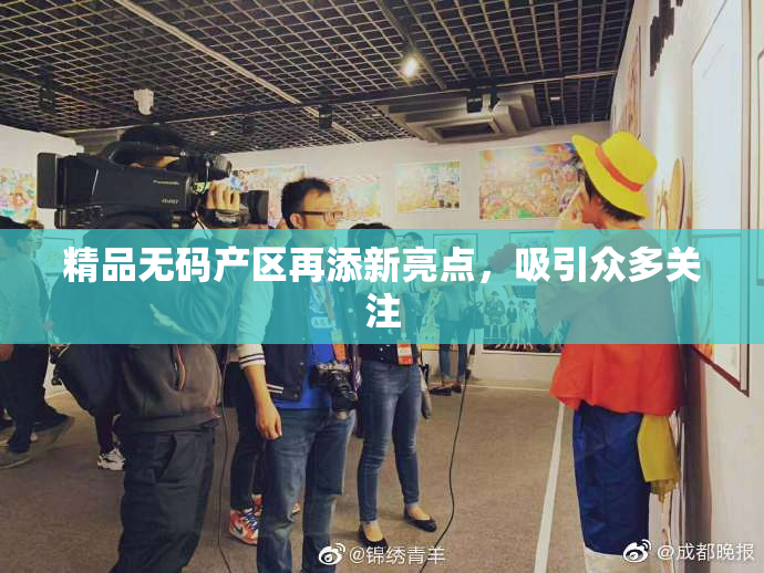 精品无码产区再添新亮点，吸引众多关注