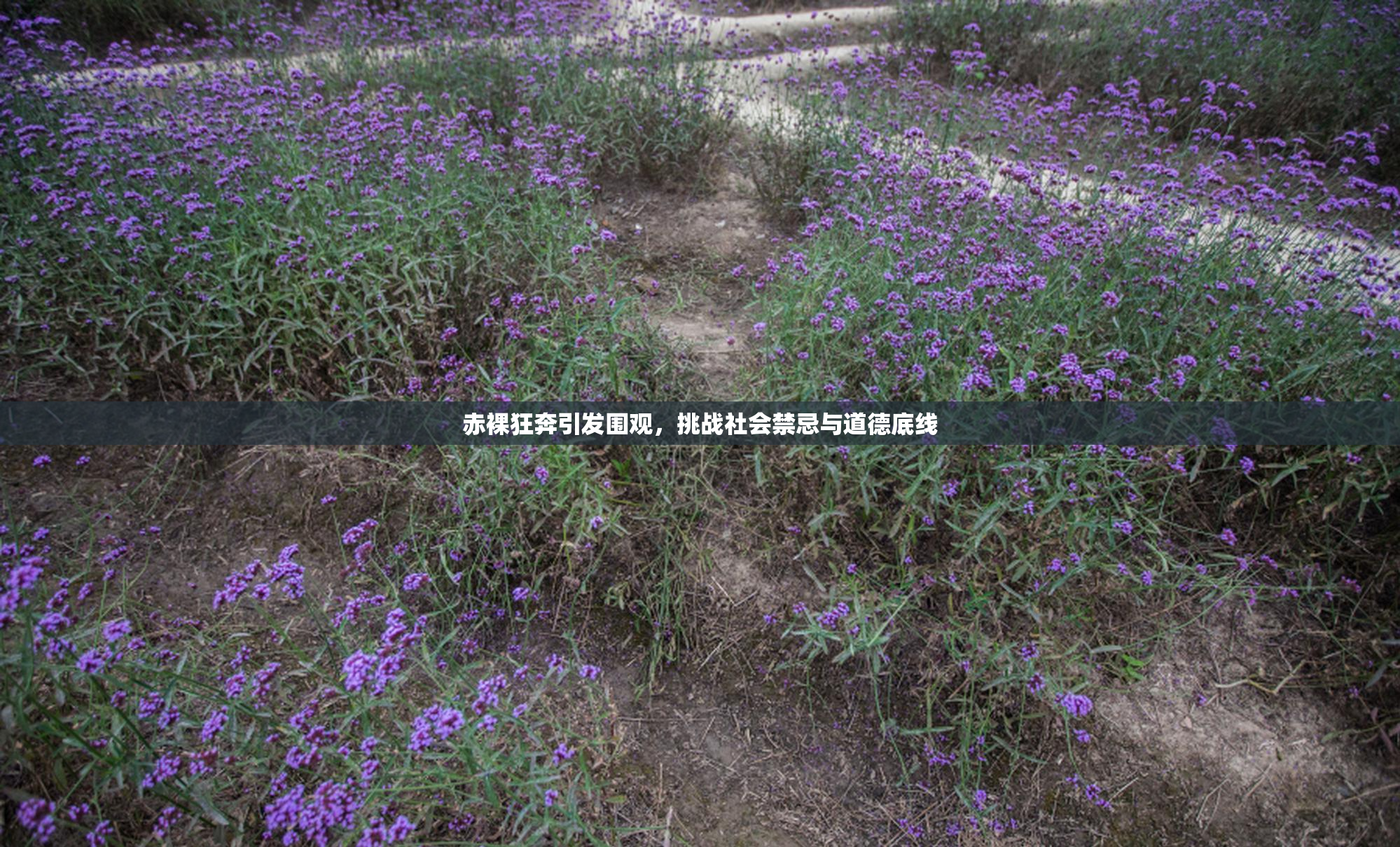 赤裸狂奔引发围观，挑战社会禁忌与道德底线