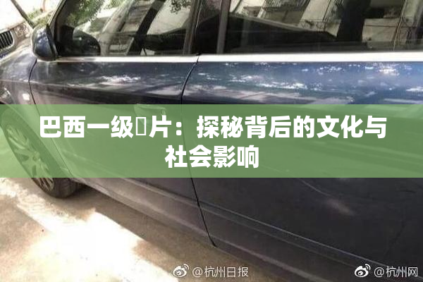 巴西一级婬片：探秘背后的文化与社会影响