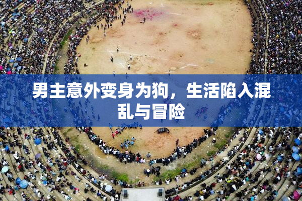 男主意外变身为狗，生活陷入混乱与冒险