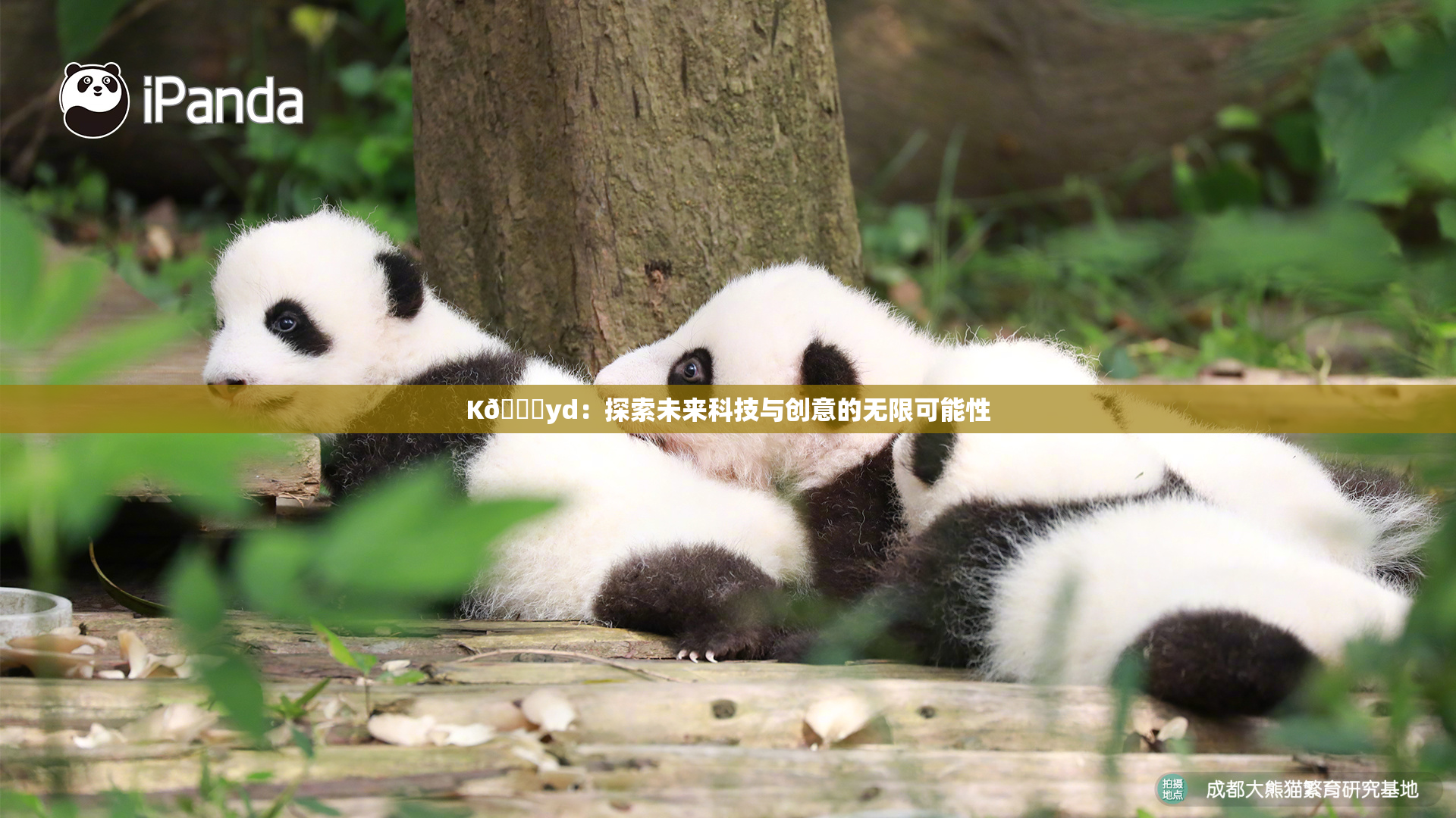 K🈚yd：探索未来科技与创意的无限可能性
