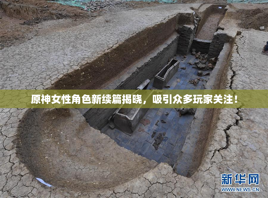 原神女性角色新续篇揭晓，吸引众多玩家关注！