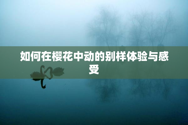 如何在樱花中动的别样体验与感受