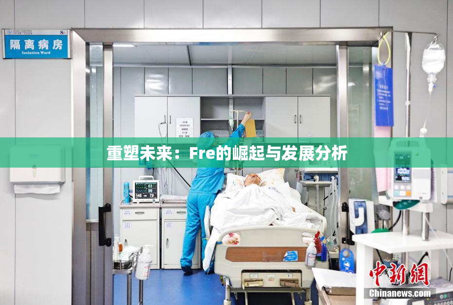 重塑未来：Fre的崛起与发展分析