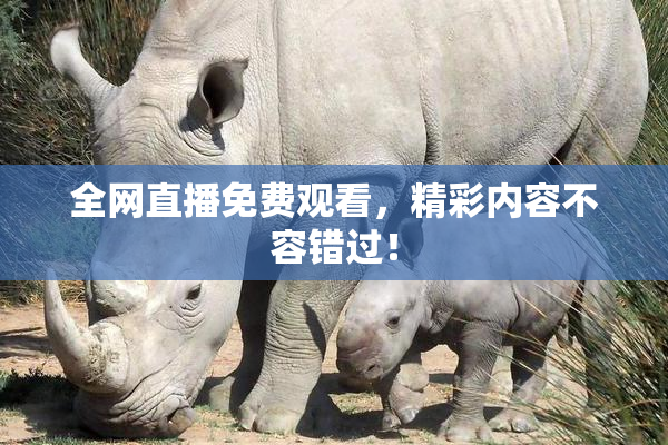全网直播免费观看，精彩内容不容错过！