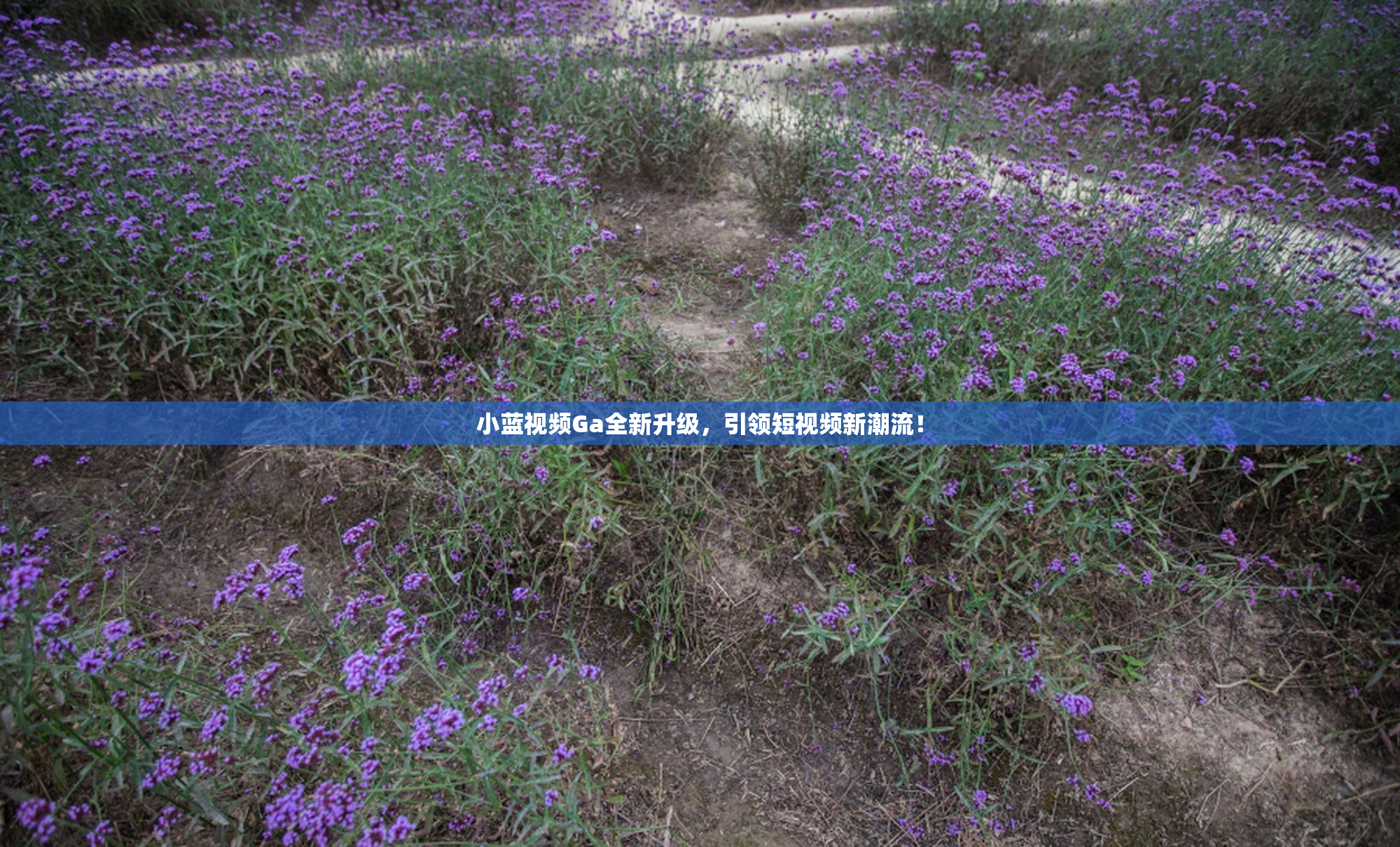 小蓝视频Ga全新升级，引领短视频新潮流！