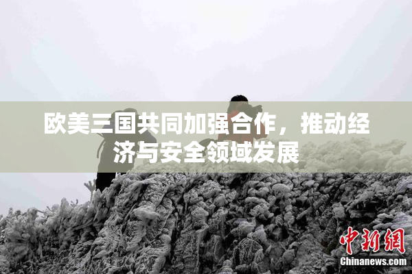 欧美三国共同加强合作，推动经济与安全领域发展