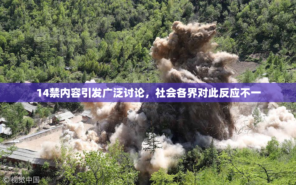 14禁内容引发广泛讨论，社会各界对此反应不一