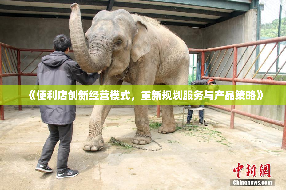 《便利店创新经营模式，重新规划服务与产品策略》
