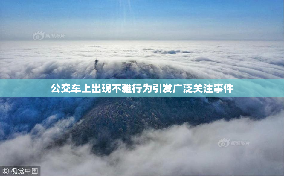公交车上出现不雅行为引发广泛关注事件