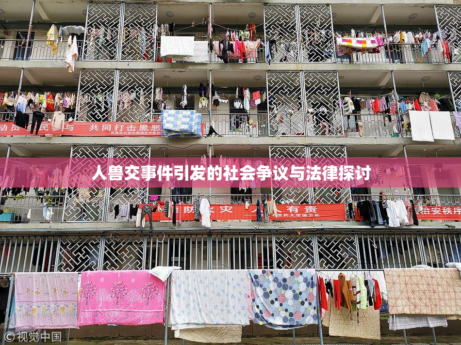 人兽交事件引发的社会争议与法律探讨