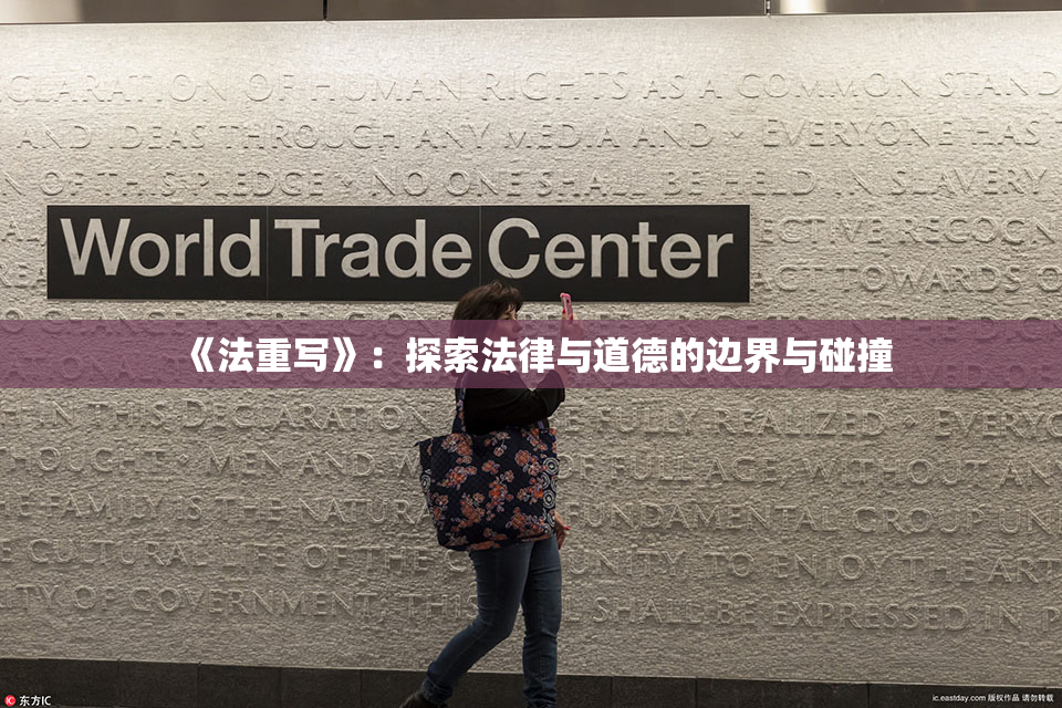 《法重写》：探索法律与道德的边界与碰撞