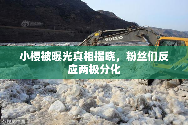 小樱被曝光真相揭晓，粉丝们反应两极分化