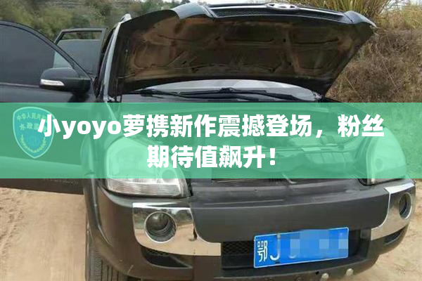 小yoyo萝携新作震撼登场，粉丝期待值飙升！
