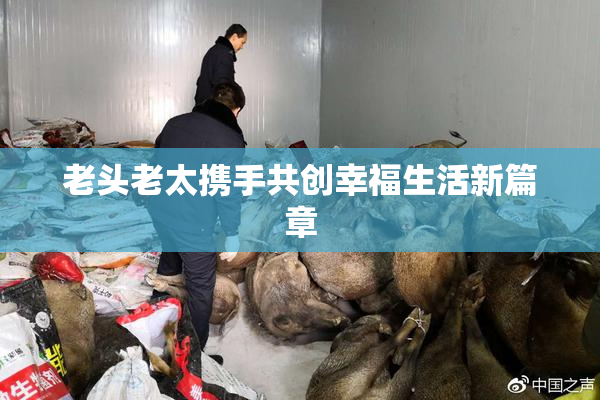 老头老太携手共创幸福生活新篇章