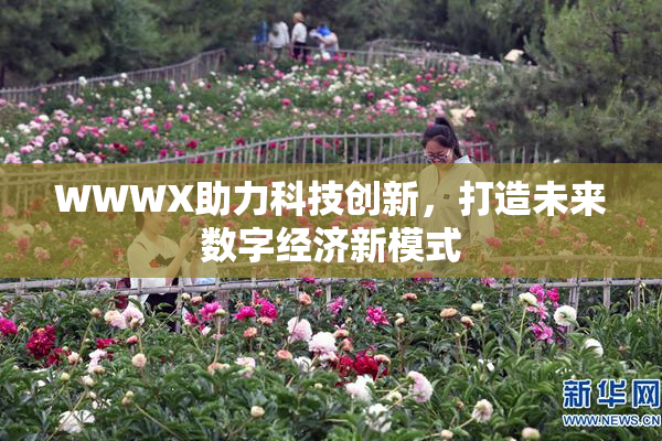 WWWX助力科技创新，打造未来数字经济新模式