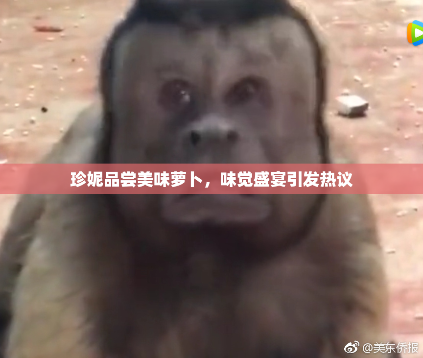 珍妮品尝美味萝卜，味觉盛宴引发热议