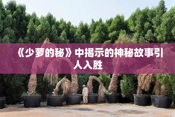 《少萝的秘》中揭示的神秘故事引人入胜