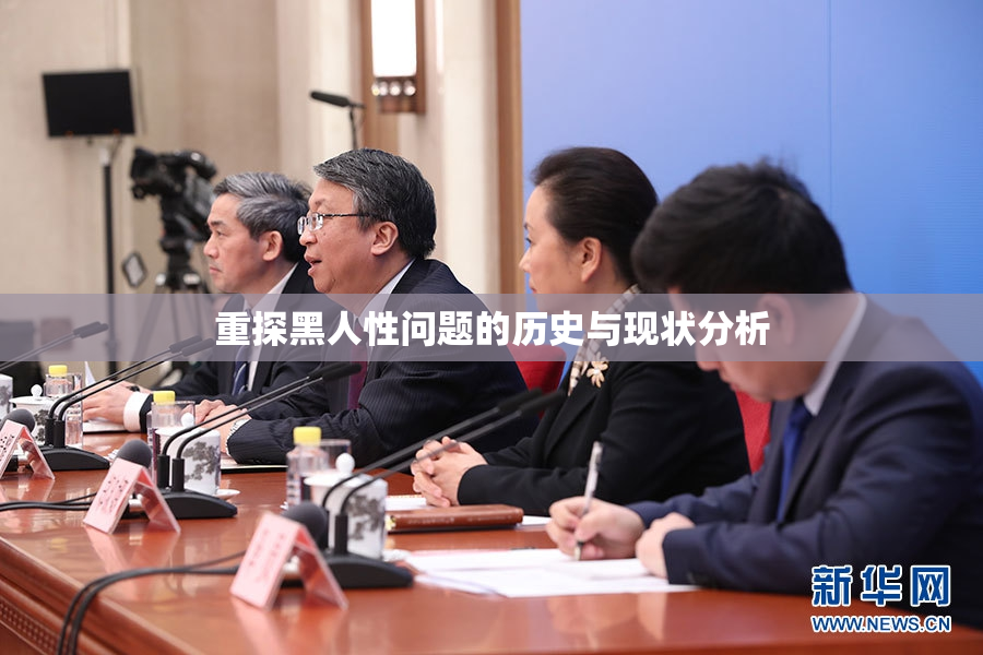 重探黑人性问题的历史与现状分析