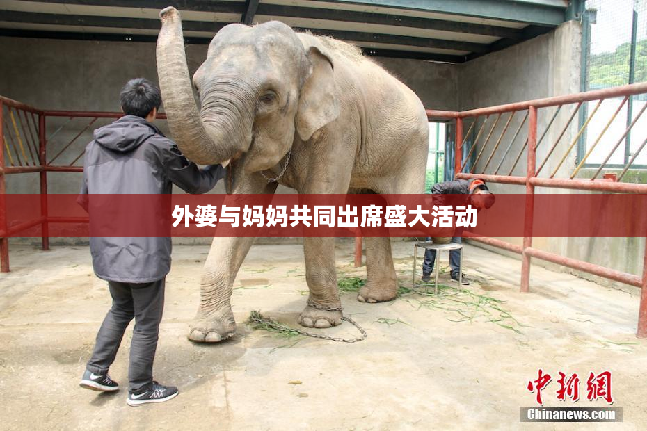 外婆与妈妈共同出席盛大活动