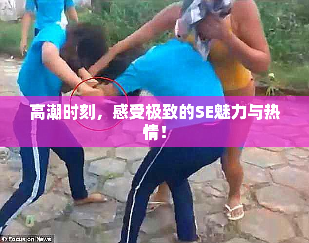 高潮时刻，感受极致的SE魅力与热情！