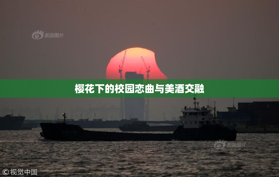 樱花下的校园恋曲与美酒交融