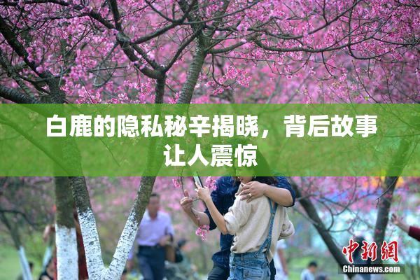 白鹿的隐私秘辛揭晓，背后故事让人震惊